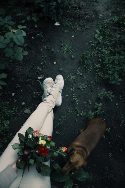 Jovens com o cão dele. Uma pessoa e um cão . — Fotografia de Stock