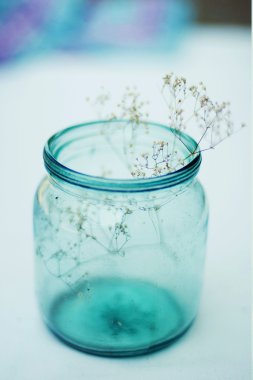 Cam şişe beyaz çiçeklenir. İzole çiçekli küçük vazo 