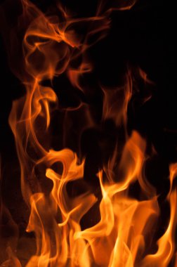 Siyah bir zemin üzerine alevler ateş. Yangın alev doku geri blaze