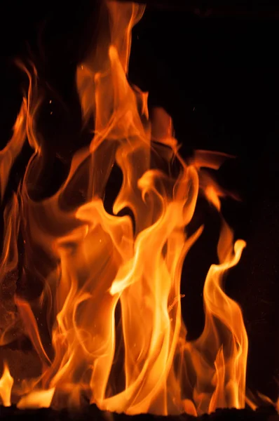 Siyah bir zemin üzerine alevler ateş. Yangın alev doku geri blaze