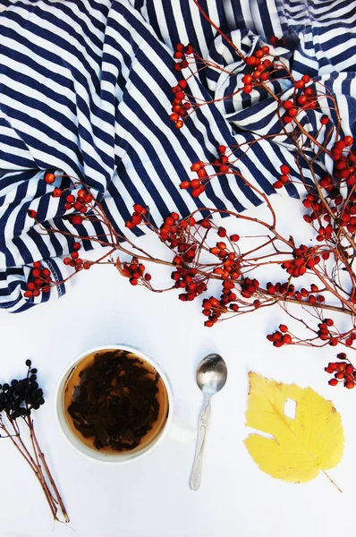 Taza marrón con té verde fresco. Taza de té sobre fondo blanco — Foto de Stock