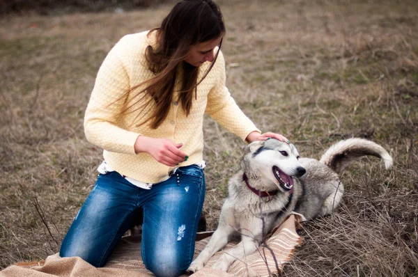 Flicka i parken sitt hem med en hund Husky. Flickan med de — Stockfoto
