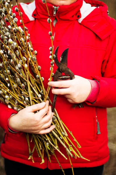 Portrait wanita dalam jaket merah dengan setumpuk besar willow di h — Stok Foto