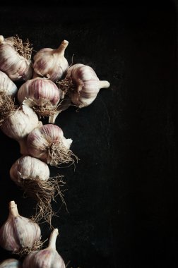  siyah bir zemin üzerine taze sarımsak ampuller. siyah backg sarımsak