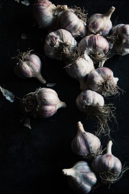  siyah bir zemin üzerine taze sarımsak ampuller. siyah backg sarımsak