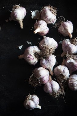  siyah bir zemin üzerine taze sarımsak ampuller. siyah backg sarımsak