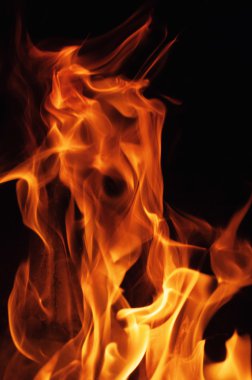 Fire flames on black background clipart