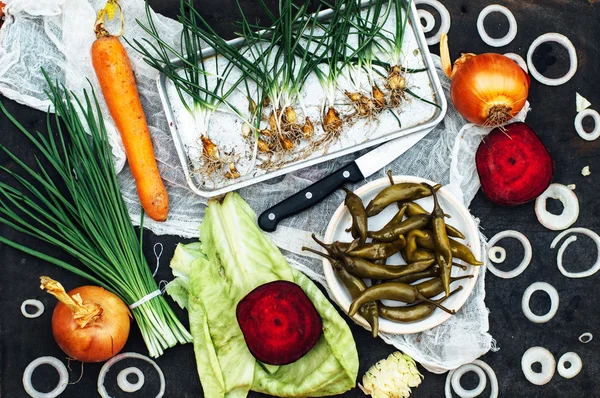 Cebolla, remolacha, pimienta, ajo, zanahoria, repollo listo para preparar sa — Foto de Stock