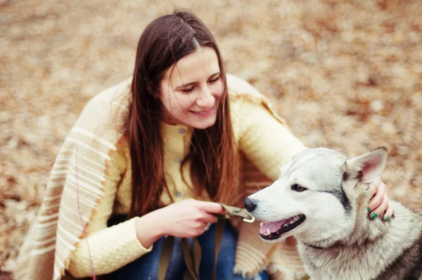Dívka v parku svůj domov s pes Husky. Dívka s — Stock fotografie