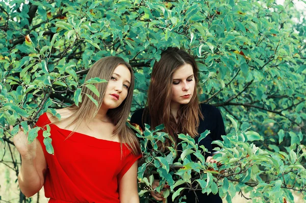 Retrato de belas meninas vestidas de ornoe e vermelho longo — Fotografia de Stock