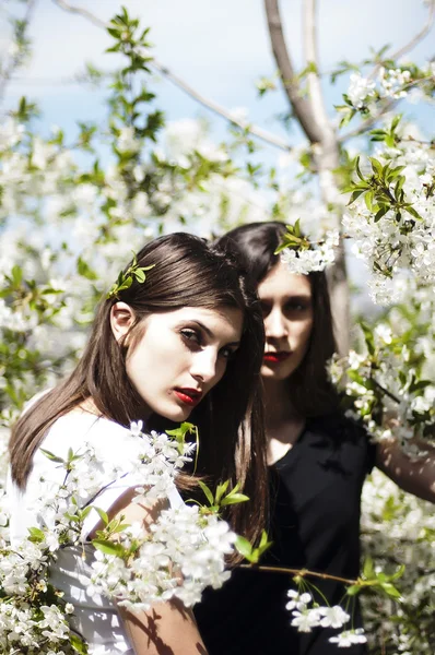 Retrato de hermosas chicas jóvenes, hermanas vestidas con ernoe y — Foto de Stock