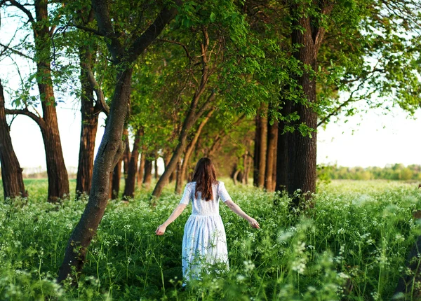 Uzun beyaz elbiseli ve gün batımında tarlada uzun altın kıvırcık saçlı güzel genç bir kadın. Fotoğraf tonda stil Instagram vsco filtreler. Çiçek tarlalarında açık poz genç güzel kadın.