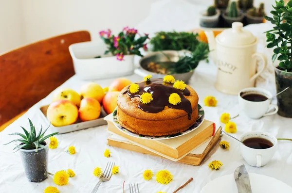 Tradiční domácí čokoládový dort. Rustikální styl a přírodní li — Stock fotografie