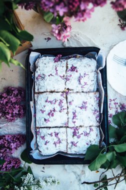 Ev yapımı lezzetli taze vanilya pasta elmalı serpilir