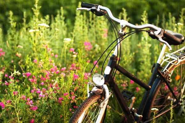 Fahrrad mit festem Gang in Reflexion am Straßenrand geparkt. Oldtimer. — Stockfoto