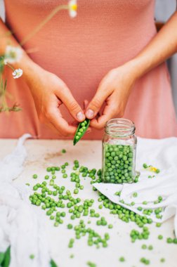 Woman podding fresh peas in the kitchen. Woman podding fresh pea