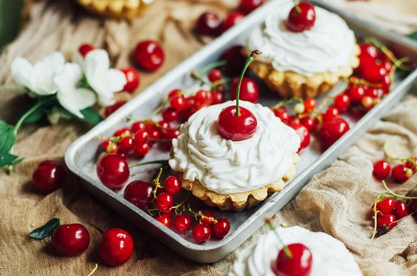 Beyaz protein kreması ve vişne ile güzel çikolata cupcakes