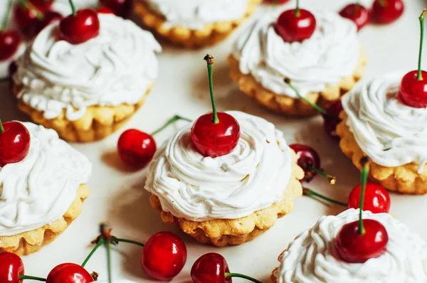 Belos cupcakes de chocolate com creme de proteína branca e cereja — Fotografia de Stock