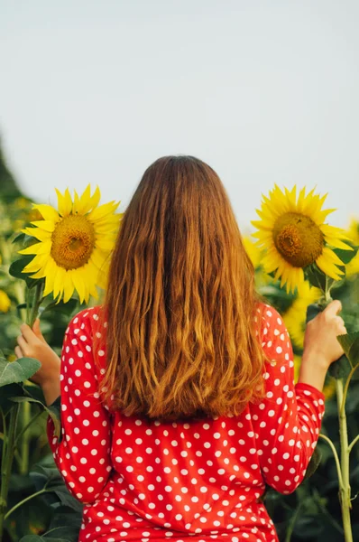 Sensueel portret van een meisje in een zonnebloem veld. Portret van de vrouw in zonnebloem veld. — Stockfoto