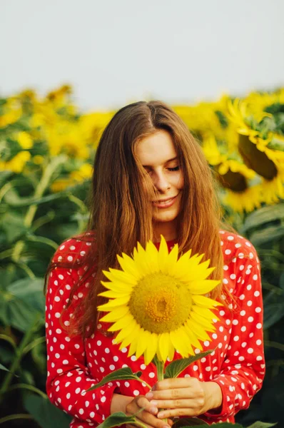 Ritratto sensuale di una ragazza in un campo di girasole. Ritratto di donna in campo girasole . — Foto Stock