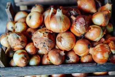 Sepet içinde organik sarı soğan. Arpacık ahşap kutu üzerinde. Harv