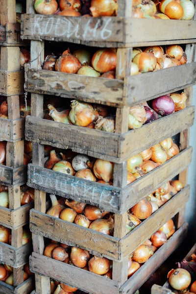 Bawang kuning organik dalam keranjang. Shallot di kotak kayu. Harv — Stok Foto