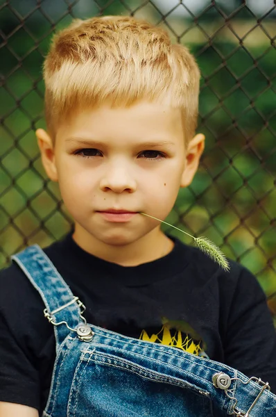 Portrét usmívající se sedmi letého chlapce. Sedmi letý chlapec s — Stock fotografie