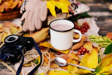 Sıcak örme eşarp ve ahşap bir tepsi üzerinde bir kitap. Barışçıl Sonbahar Fr