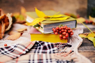 Sıcak örme eşarp ve ahşap bir tepsi üzerinde bir kitap. Barışçıl Sonbahar Fr