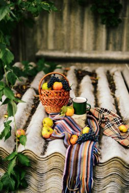 Sıcak örme eşarp ve ahşap bir tepsi üzerinde bir kitap. Barışçıl Sonbahar Fr