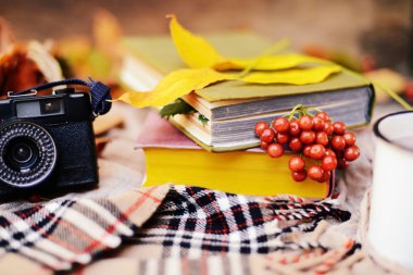 Sıcak örme eşarp ve ahşap bir tepsi üzerinde bir kitap. Barışçıl Sonbahar Fr