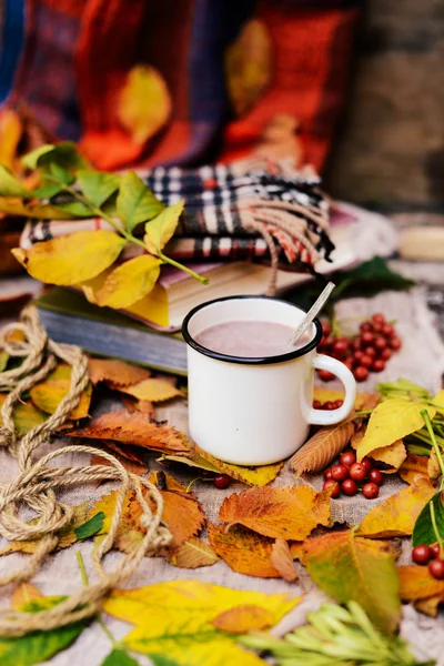 Sciarpa a maglia calda e un libro su un vassoio di legno. Autunno pacifico Fr — Foto Stock