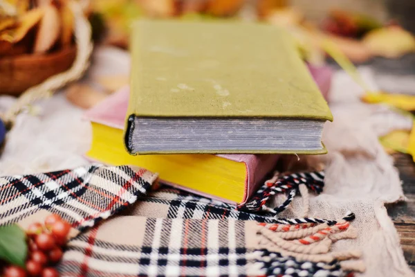 Sıcak örme eşarp ve ahşap bir tepsi üzerinde bir kitap. Barışçıl Sonbahar Fr — Stok fotoğraf