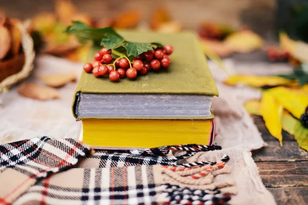 Теплый вязаный шарф и книга на деревянном подносе. Миролюбивый осень — стоковое фото
