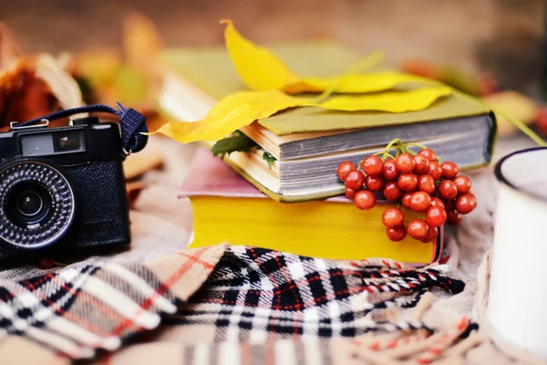 Теплий в'язаний шарф і книга на дерев'яному підносі. Мирне осінь — стокове фото