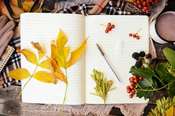 Sıcak örme eşarp ve ahşap bir tepsi üzerinde bir kitap. Barışçıl Sonbahar Fr — Stok fotoğraf