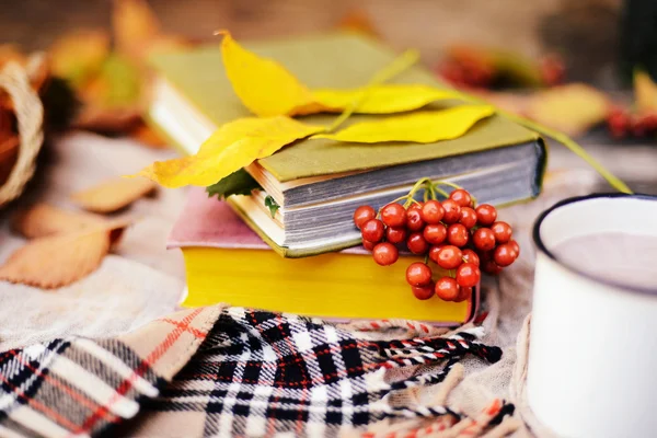 Sciarpa a maglia calda e un libro su un vassoio di legno. Autunno pacifico Fr — Foto Stock