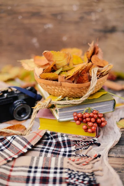 Écharpe tricotée chaude et un livre sur un plateau en bois. Automne paisible En — Photo