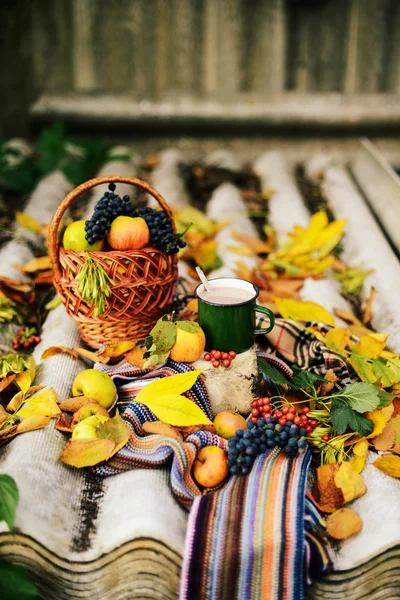 Écharpe tricotée chaude et un livre sur un plateau en bois. Automne paisible En — Photo