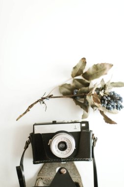 Beyaz arkaplanda kurumuş çiçekler ve vazo