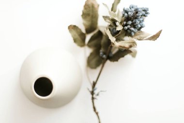 Beyaz arkaplanda kurumuş çiçekler ve vazo