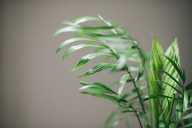 A6 ayarlı VSCO ile işlendi