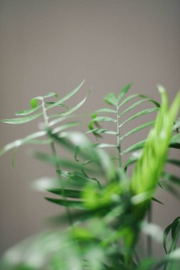 A6 ayarlı VSCO ile işlendi