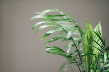 A6 ayarlı VSCO ile işlendi