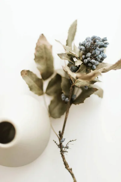 Dried Flowers Vase White Background — Foto de Stock