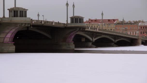 Ponte a piedi sul ponte — Video Stock