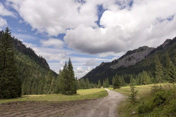 Szlak w Tatrach słowackich — Zdjęcie stockowe