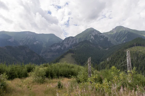 Cordillera en los Tatras — Foto de Stock