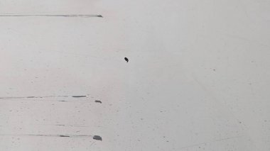 Makro manzara, üstü kumla kaplı beyaz bir araba olduğunu gösteriyor. Çamur lekeleri, pislik, yol kalıntıları boya yüzeyini işaret ediyor. Birkaç derin çizik, siyah lekeler yan panele zarar veriyor. Bu yıkanmamış doku uzun süreli ihmalkarlığı ve hava durumunu gösteriyor. Bu...