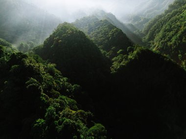 Birden fazla dağ zirvesi ve vadiyi kaplayan yeşil ormanın havadan görünüşü. Güneş ışınları sisi delip geçer, gölgeliği aydınlatır ve dramatik bir sahne yaratır..